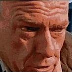 AverageShrub's Avatar'