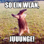 Schebeb's Avatar'