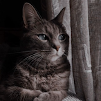 Fernand3s_'s Avatar'