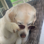 I_RainGod69_I's Avatar'