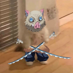 MandoKimetsu's Avatar'