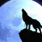 Dusk_Thunder's Avatar'