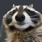 MrRaccPebbles's Avatar'