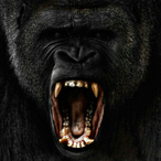 Reaping Harambe's Avatar'