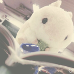 Yu_lu's Avatar'