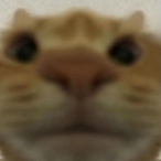 DH_Denny's Avatar'