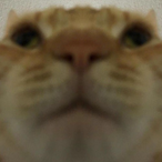 Futurerune's Avatar'