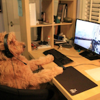 KamStealth's Avatar'