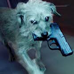 Johnwick_is_dog's Avatar'