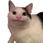 STrAweeRryMilk's Avatar'