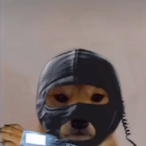 Laula_'s Avatar'