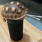 i-touch-diddeh67's Avatar'