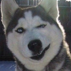 SOlivE_'s Avatar'