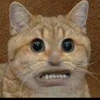 UR_Fearful's Avatar'