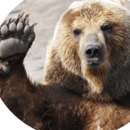 Joey.Orso's Avatar'