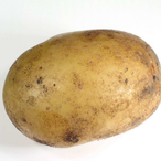 OneBrownPotato's Avatar'