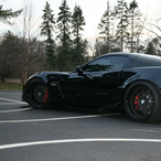 SILVERBACK1417's Avatar