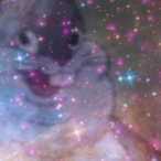 TrashPanda.4's Avatar'