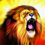 Big_Chorizo04's Avatar'