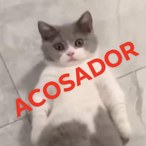 SneezyTag543's Avatar'