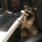 Vicgabiru's Avatar'