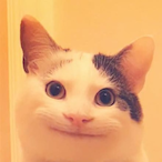 Neko_Kz.'s Avatar'