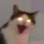 I luv azami8025's Avatar'
