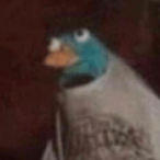 Butzi2008's Avatar'