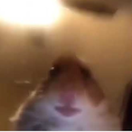 BayKemik's Avatar'