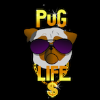 Pok_Flushi's Avatar'