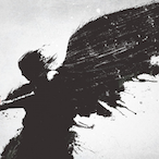 perqshelp's Avatar'