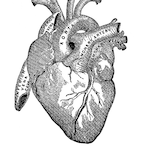 Hyperplasia's Avatar'