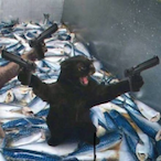 Soft_Papa's Avatar'