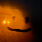 shadow1442's Avatar'