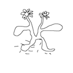 Galior_'s Avatar'