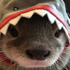 BTkiller4899's Avatar'