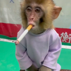 Noibsmummy's Avatar'