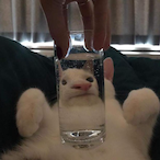 SmokeyTender's Avatar'