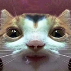 Brandon_7108's Avatar'