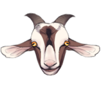 IlIldropped's Avatar'