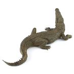 Nile_crocodile's Avatar'