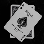 Natebeast5's Avatar'