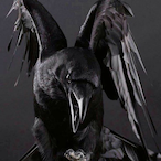 Serega_voron's Avatar'