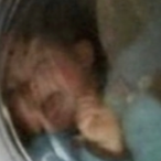 Ckdiesel's Avatar'