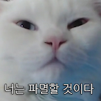 Sweat4K's Avatar'