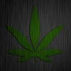 Siminiss's Avatar'