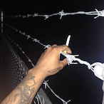 uzg.'s Avatar'