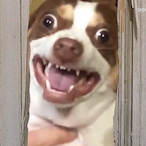 MrBelching55's Avatar'
