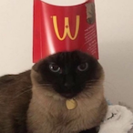 Hanae_Blossom's Avatar'