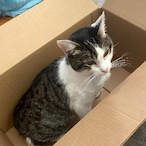 Nichthedich's Avatar'